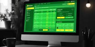 Experience the Thrill of BetWinner Live Betting